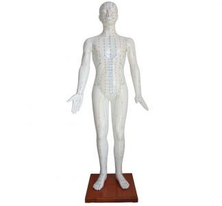 What is acupuncture bronze man？