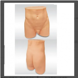 Acupuncture hip training model helps acupuncture teaching