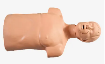 Adult airway infarction and CPR model: Can it fully simulate real first aid scenarios?