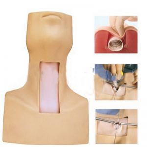 What is the importance of tracheotomy intubation training model in medical training?