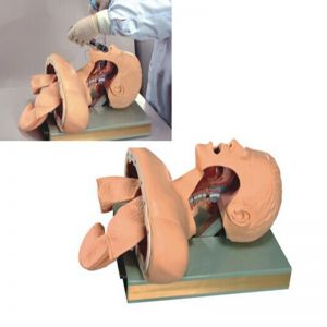 How does the electronic human tracheal intubation training model simulate the real tracheal intubation process?