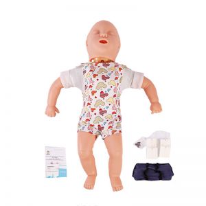 What is the role of adult airway infarction and CPR model in medical training?