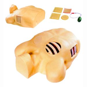 What are the main functions of the closed thoracic drainage training model