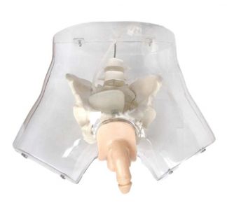 How does transparent catheterization model guarantee the bridge between theory and practice