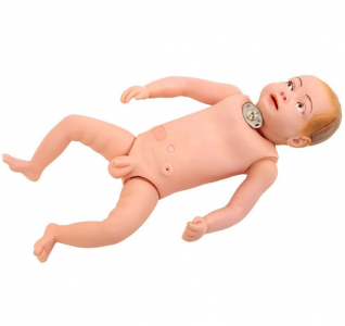 Whether infant tracheotomy model can fully cover nursing skills training