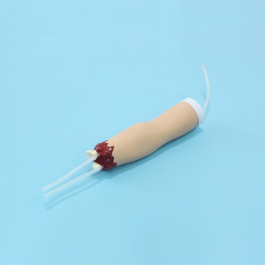 The importance of the training of bleeding control arm model cannot be ignored