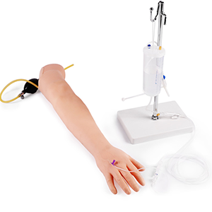 Arterial Puncture Arm Model: Witness your extraordinary journey from novice to expert