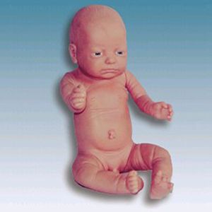 A baby model, just a toy?