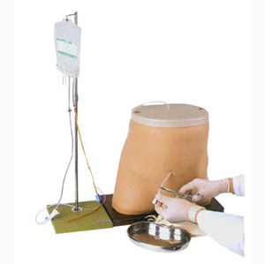 Coated dialysis Model: A substitute for clinical practice?