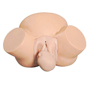 Is midwifery training model a bridge between theory and practice?
