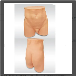 Why acupuncture hip training model is an indispensable warm-up link