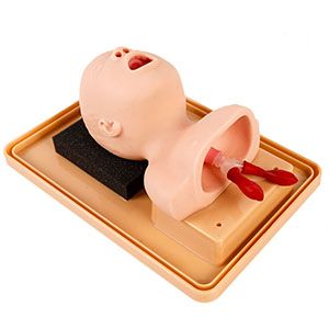 Neonatal cardiopulmonary resuscitation model: accurate simulation of first aid scenarios