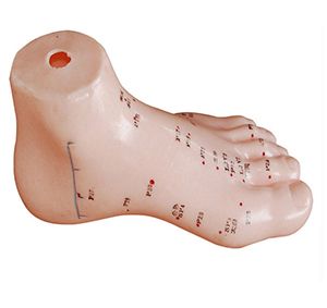 Whether the foot acupuncture model can bridge the gap between 
