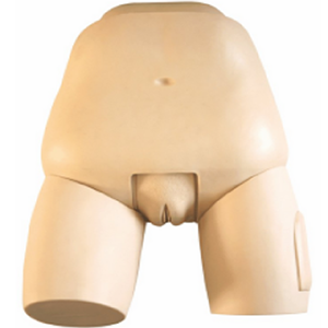 Evaluation model of uterine floor examination: Can they provide accurate evaluation criteria?