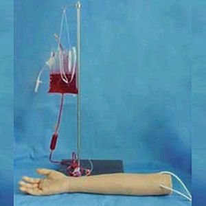 Children's venipunction model: a useful tool for improving pediatric nursing skills