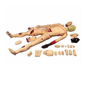 The Trauma caregiver Model: What role does it play in simulated first aid scenarios?