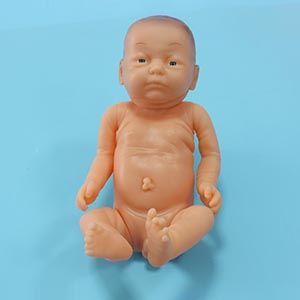 The role of full-term baby model in first aid training: How to operate and use?