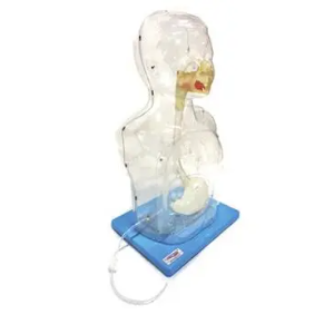 Why is transparent nasal feeding tube safer and more effective for pediatric patients?