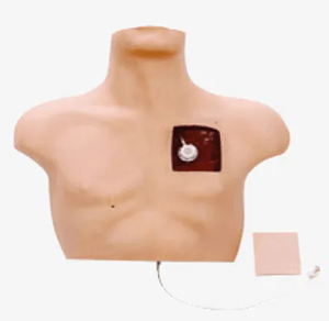 As demand grows, is the market for intravenous training models expanding rapidly?
