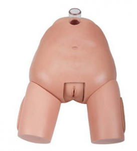 Precautions for female bladder puncture models