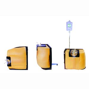 Steps and procedures of the spinal puncture model