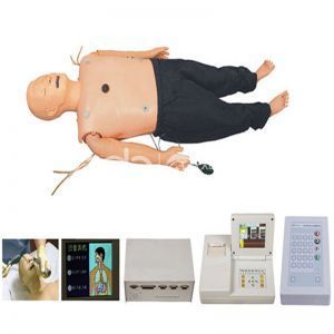 Multifunctional adult first aid training simulation manikin