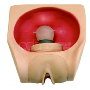 Advanced female contraceptive practice model