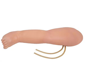 The significance of the infant leg venipuncture model