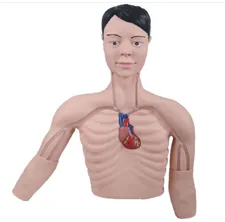 The application scenarios of PICC intervention in training models