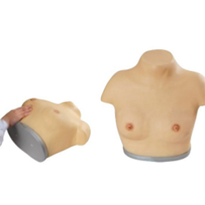 Visual and palpation models of the breast
