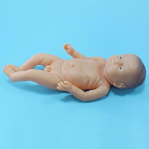 Medical Pediatric model
