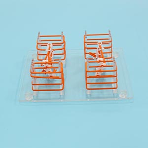 Medical Clinical model