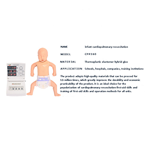 Neonatal cardiopulmonary resuscitation simulator