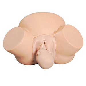 Advanced midwifery training model