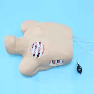 Thoracic Puncture Drainage Training