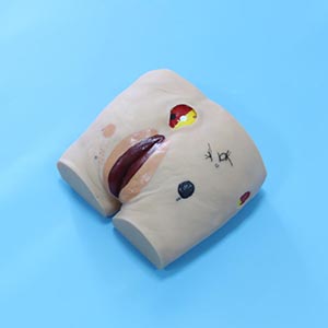 BIX-H10