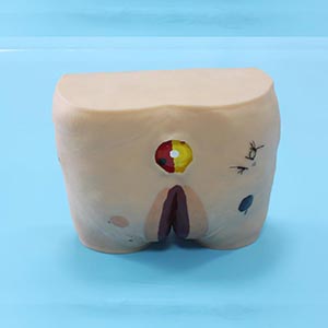Clinical care model