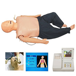 Multifunctional adult training simulator